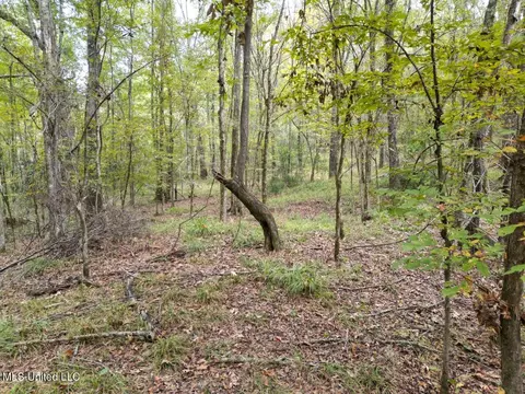 9200 Sawmill Rd, Pattison, MS 39144 photo 9