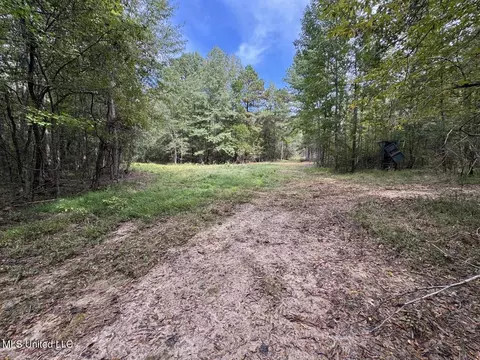9200 Sawmill Rd, Pattison, MS 39144 photo 19