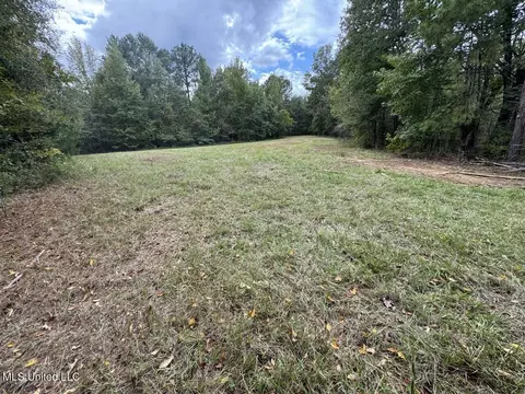 9200 Sawmill Rd, Pattison, MS 39144 photo 26