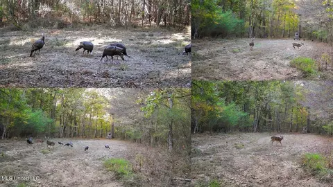 9200 Sawmill Rd, Pattison, MS 39144 photo 42