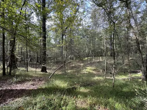 9200 Sawmill Rd, Pattison, MS 39144 photo 36