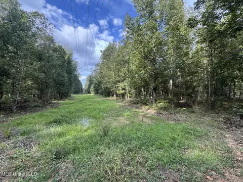 9200 Sawmill Rd, Pattison, MS 39144 photo 39