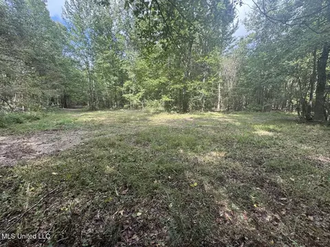 9200 Sawmill Rd, Pattison, MS 39144 photo 14