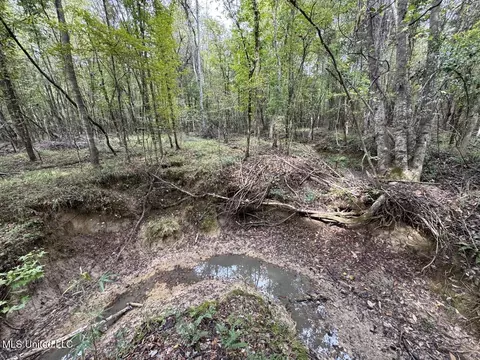 9200 Sawmill Rd, Pattison, MS 39144 photo 29