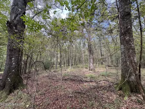 9200 Sawmill Rd, Pattison, MS 39144 photo 16
