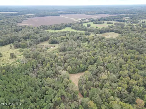 9200 Sawmill Rd, Pattison, MS 39144 photo 7