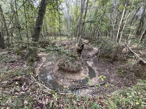 9200 Sawmill Rd, Pattison, MS 39144 photo 30