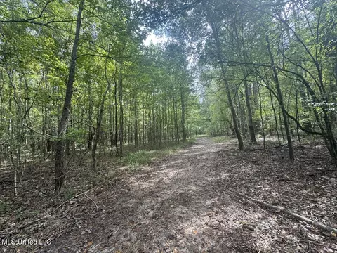 9200 Sawmill Rd, Pattison, MS 39144 photo 13
