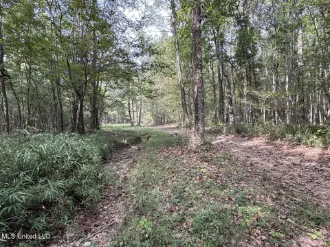 9200 Sawmill Rd, Pattison, MS 39144 photo 33