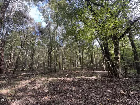 9200 Sawmill Rd, Pattison, MS 39144 photo 37
