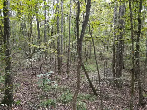 9200 Sawmill Rd, Pattison, MS 39144 photo 8