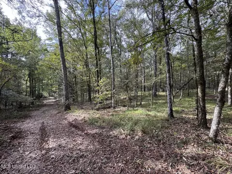 9200 Sawmill Rd, Pattison, MS 39144 photo 35