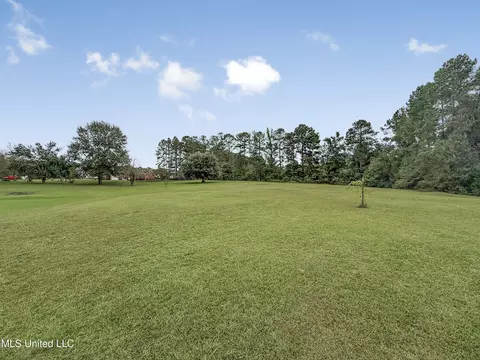 Exterior - 1122 Lakeview Dr, Summit, MS 39666 photo 16 of 21