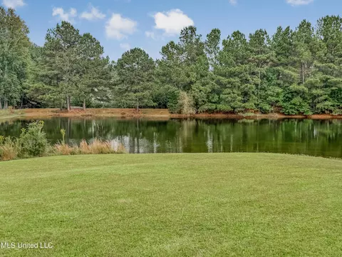 View/Area - 1122 Lakeview Dr, Summit, MS 39666 photo 1 of 1