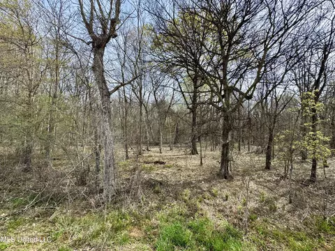 Turner Road, Ruleville, MS 38771 photo 5