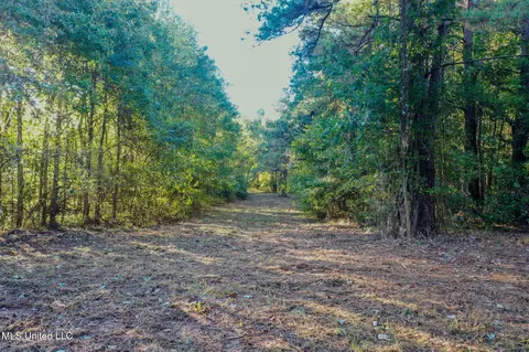E Williams Road, Hernando, MS 38632 photo 10