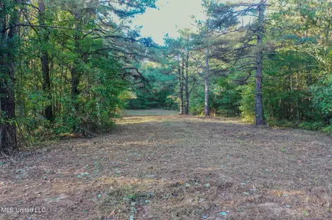 E Williams Road, Hernando, MS 38632 photo 7