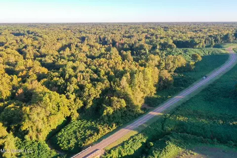 E Williams Road, Hernando, MS 38632 photo 9