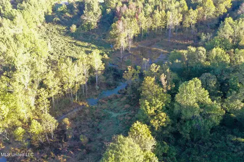 E Williams Road, Hernando, MS 38632 photo 11