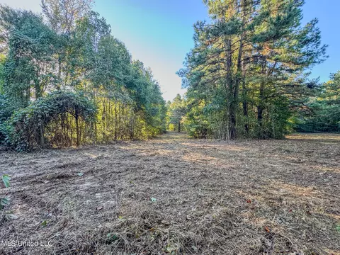 E Williams Road, Hernando, MS 38632 photo 8