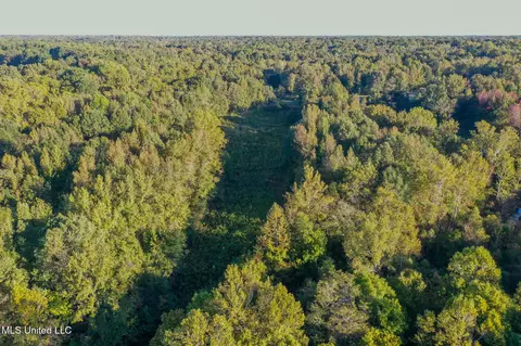 E Williams Road, Hernando, MS 38632 photo 6