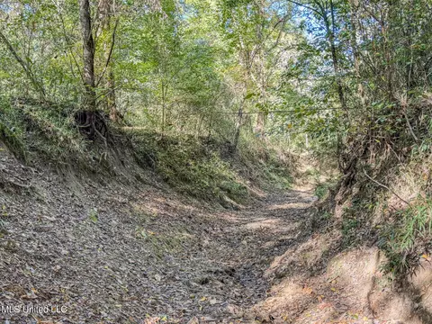 E Williams Road, Hernando, MS 38632 photo 23