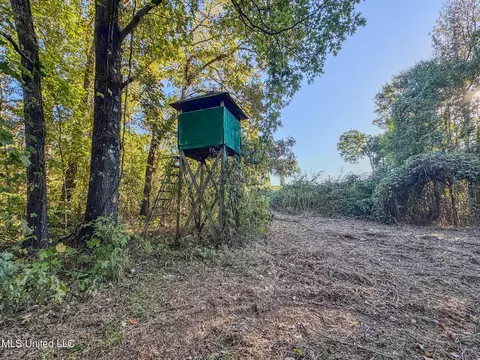 E Williams Road, Hernando, MS 38632 photo 15