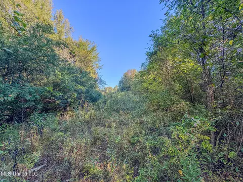 E Williams Road, Hernando, MS 38632 photo 19
