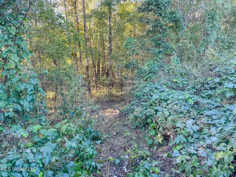 E Williams Road, Hernando, MS 38632 photo 18