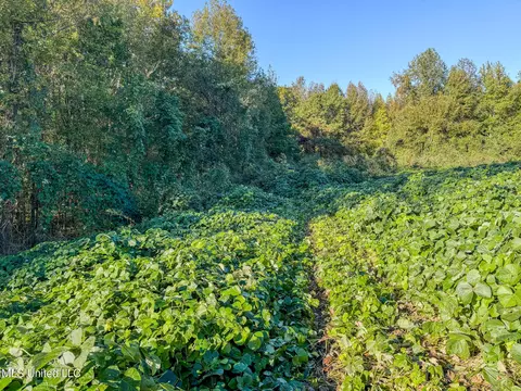 E Williams Road, Hernando, MS 38632 photo 17