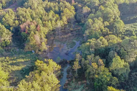 E Williams Road, Hernando, MS 38632 photo 3