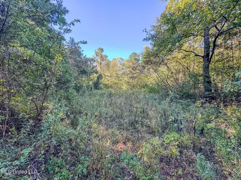 E Williams Road, Hernando, MS 38632 photo 20
