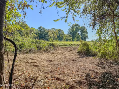 E Williams Road, Hernando, MS 38632 photo 24