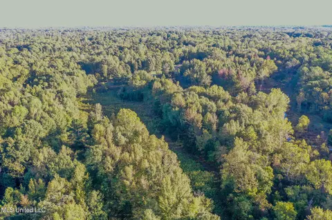 E Williams Road, Hernando, MS 38632 photo 16