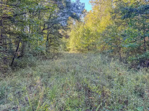 E Williams Road, Hernando, MS 38632 photo 21