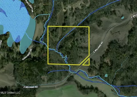 E Williams Road, Hernando, MS 38632 photo 26