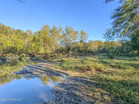 E Williams Road, Hernando, MS 38632 photo 4