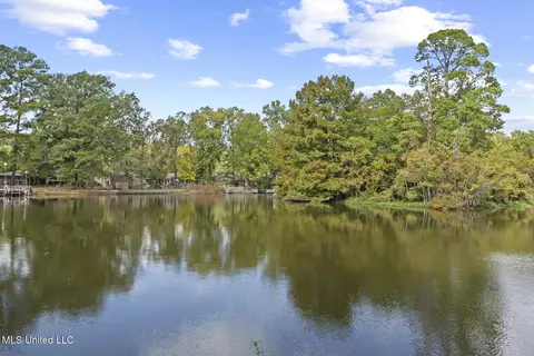 View/Area - 111 Arrowhead Trl, Brandon, MS 39047 photo 7 of 7