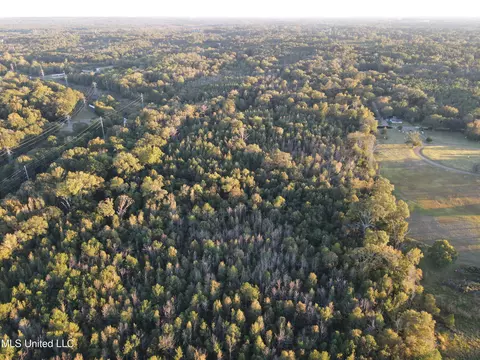 Mccluer Road, Jackson, MS 39212 photo 17