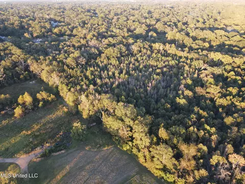 Mccluer Road, Jackson, MS 39212 photo 16