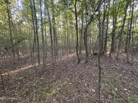 Mccluer Road, Jackson, MS 39212 photo 9