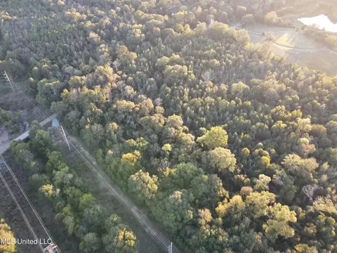 Mccluer Road, Jackson, MS 39212 photo 20
