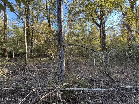 Mccluer Road, Jackson, MS 39212 photo 10