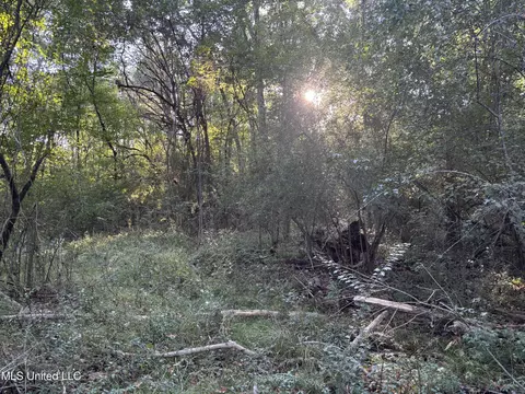Mccluer Road, Jackson, MS 39212 photo 5