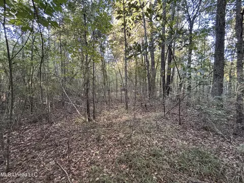 Mccluer Road, Jackson, MS 39212 photo 12