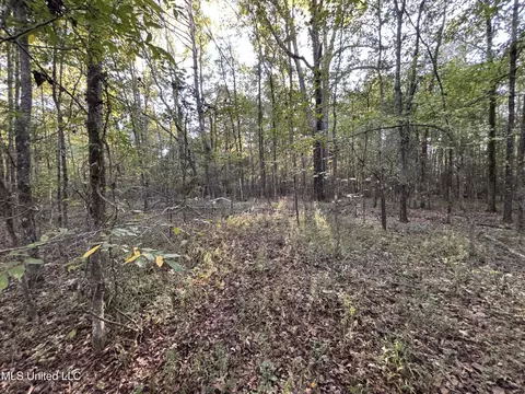 Mccluer Road, Jackson, MS 39212 photo 7