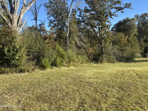 Mccluer Road, Jackson, MS 39212 photo 4