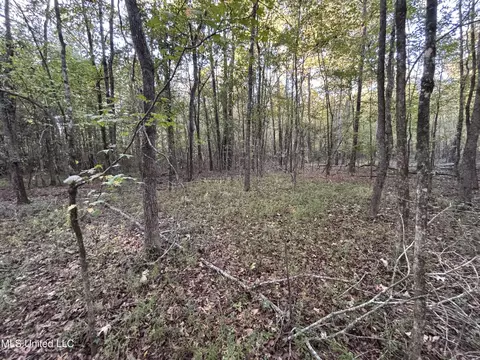 Mccluer Road, Jackson, MS 39212 photo 6