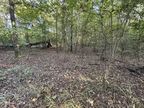 Mccluer Road, Jackson, MS 39212 photo 11