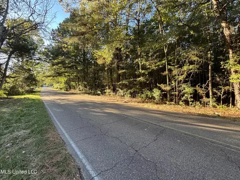 Mccluer Road, Jackson, MS 39212 photo 2